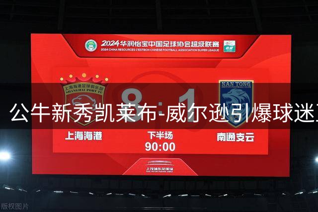 公牛新秀凯莱布-威尔逊引爆球迷互动现场