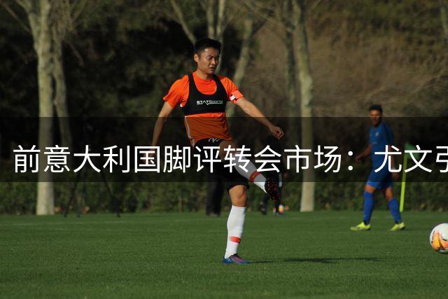 前意大利国脚评转会市场：尤文引援可冲击意甲王座