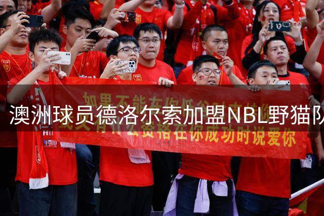 澳洲球员德洛尔索加盟NBL野猫队 夏季联赛表现平平