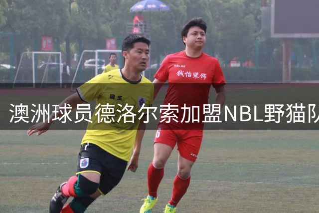 澳洲球员德洛尔索加盟NBL野猫队 夏季联赛表现平平