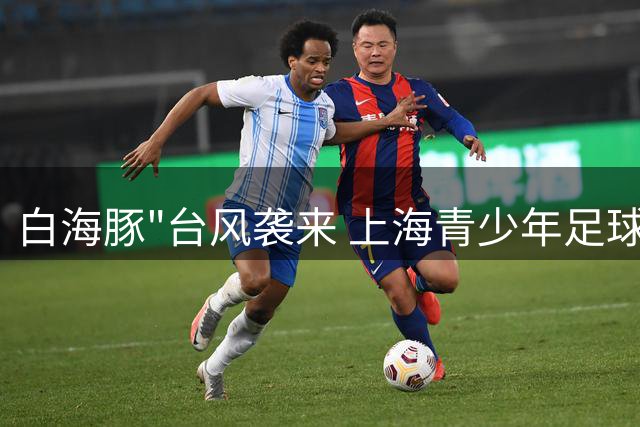白海豚"台风袭来 上海青少年足球赛事决赛被迫取消