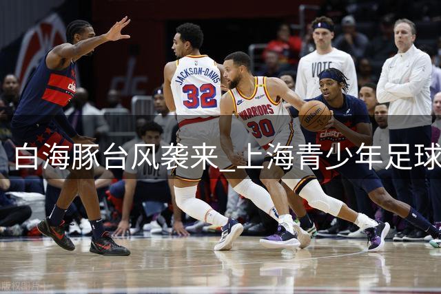 白海豚"台风袭来 上海青少年足球赛事决赛被迫取消