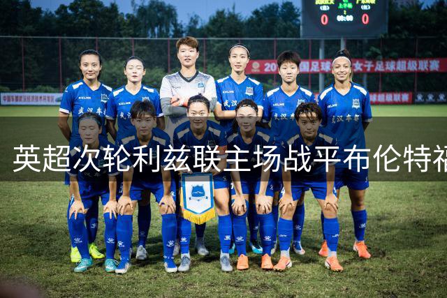 英超次轮利兹联主场战平布伦特福德 双方各入一球